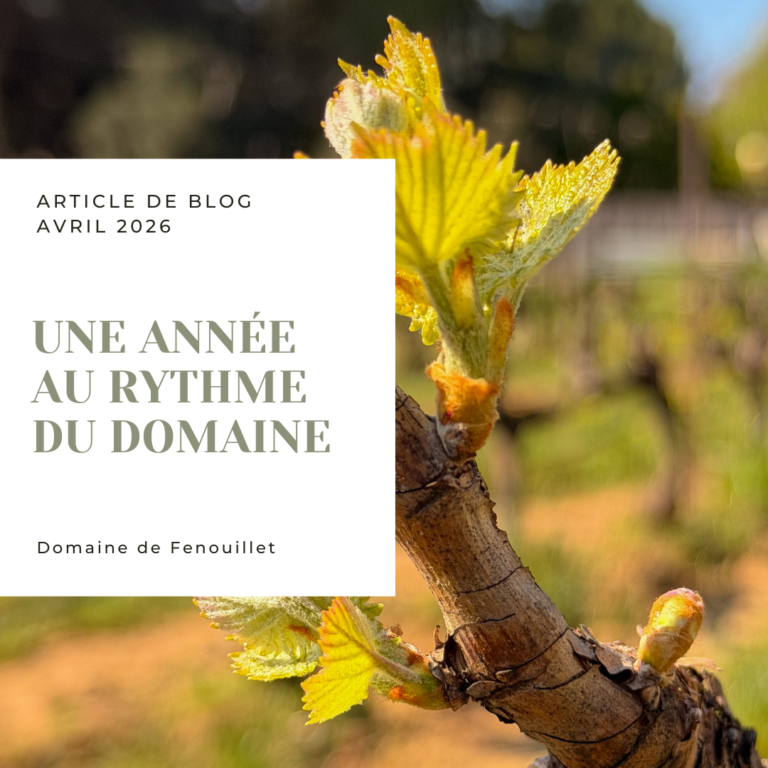 Une année au rythme du domaine